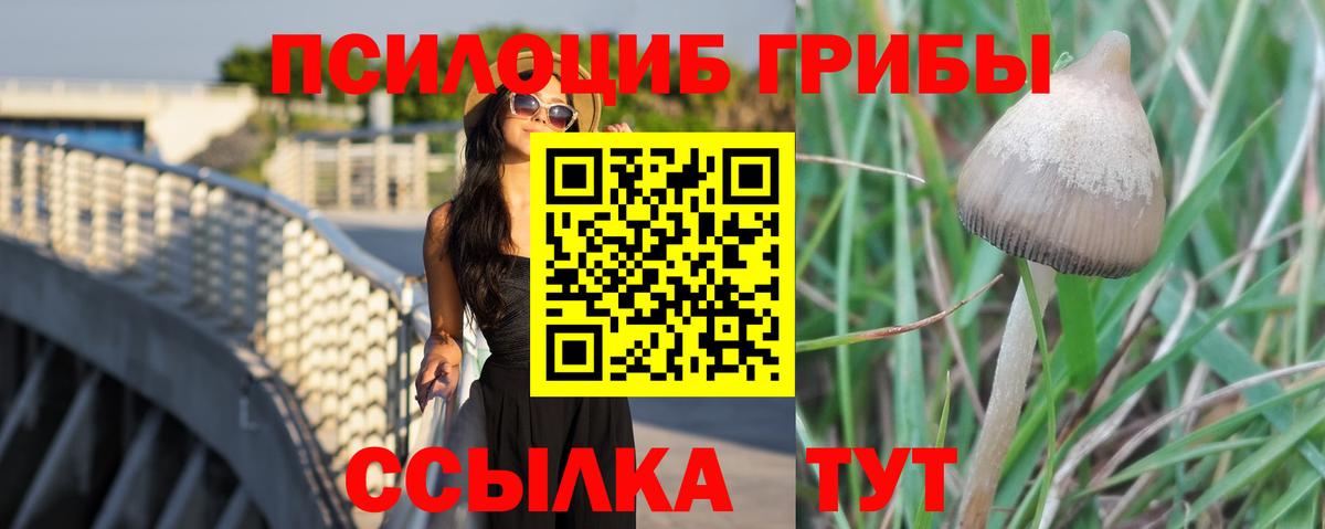 Еманжелинск  Псилоцибиновые грибы Psilocybe  Галлюциногенные грибы прущие грибы  Вход с VPN 